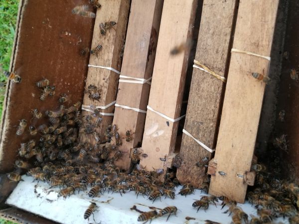 20180516_164455.jpg