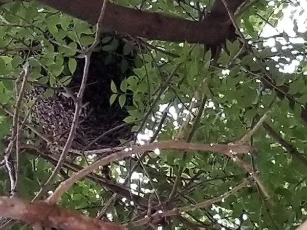 20180517_135556.jpg