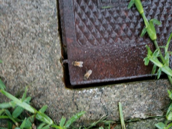 20180517_195732.jpg