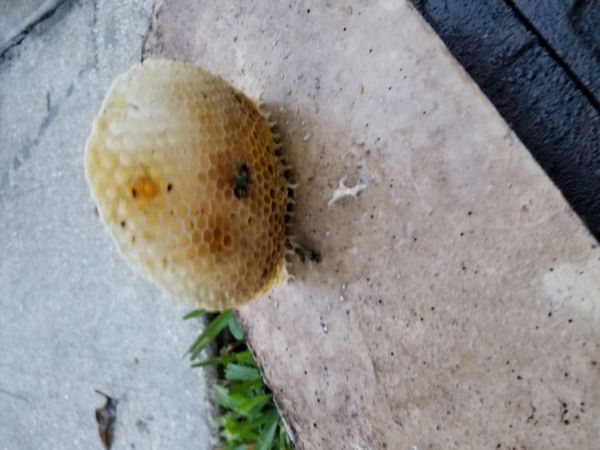 20180517_195954.jpg
