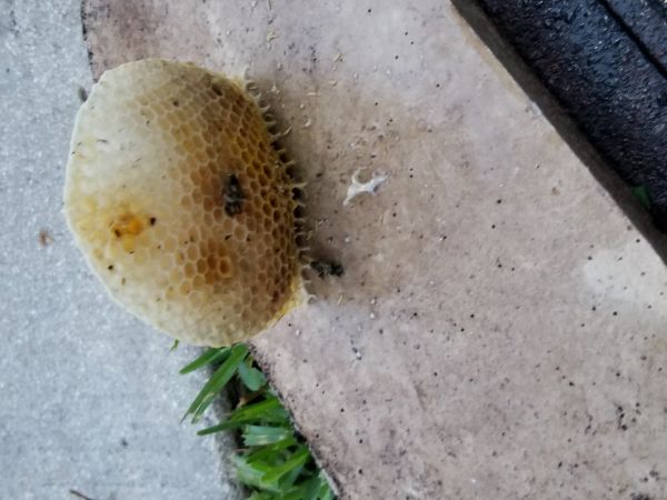 20180517_200130.jpg