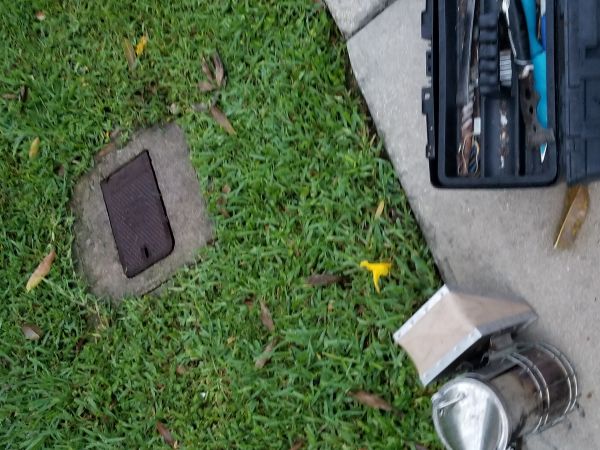 20180517_200316.jpg