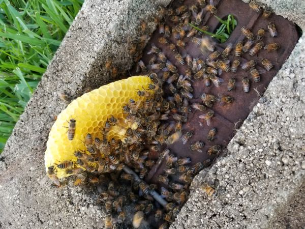 20180518_183001.jpg
