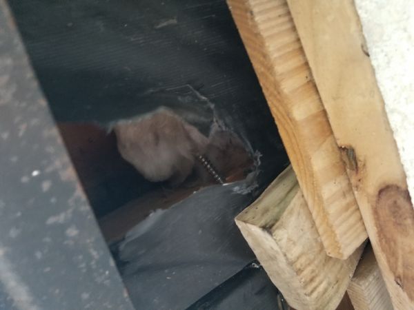 20180522_065049.jpg