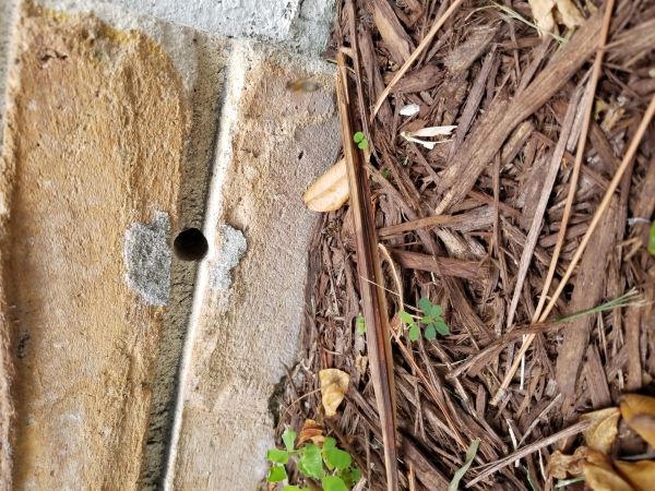 20180524_093528.jpg