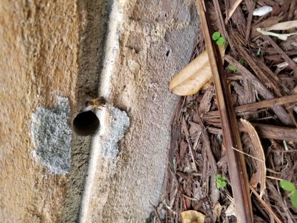 20180524_093615.jpg
