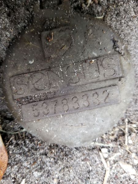 20180524_190919.jpg