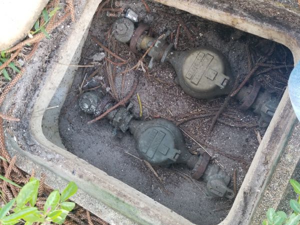 20180530_065049.jpg
