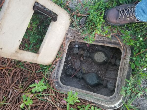 20180530_065119.jpg