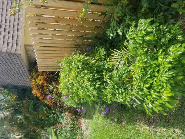 20180530_112059.jpg