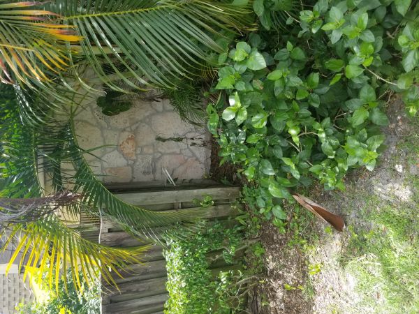 20180530_115554.jpg