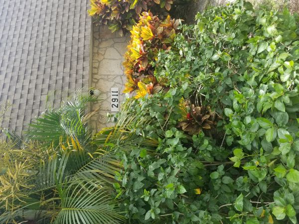 20180530_115558.jpg