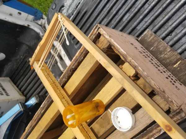 20180530_115807.jpg