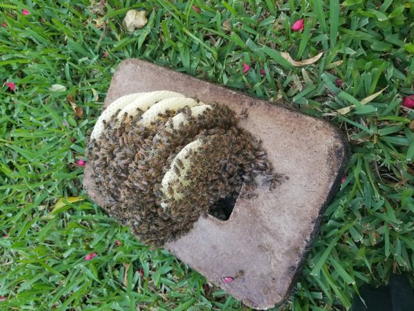 20180530_193925.jpg