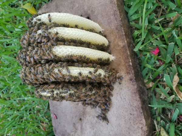 20180530_193928.jpg