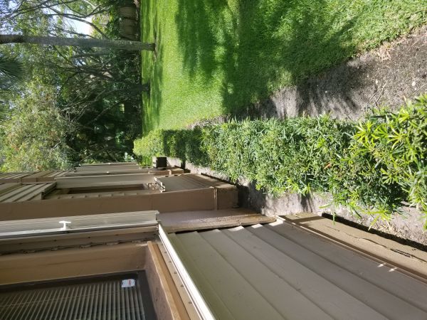 20180601_130255.jpg