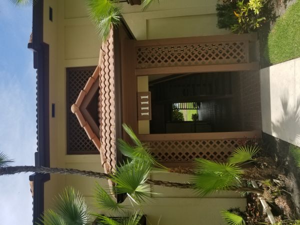 20180601_130729.jpg