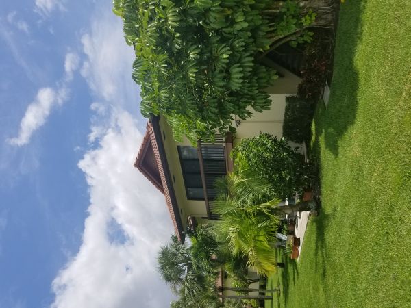 20180601_130916.jpg