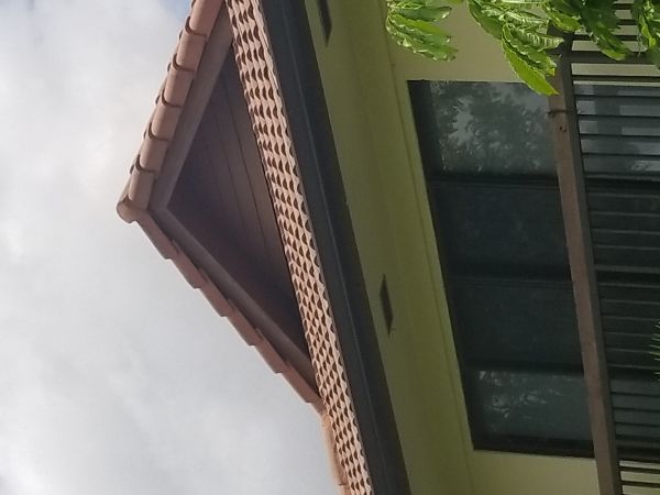 20180601_130918.jpg