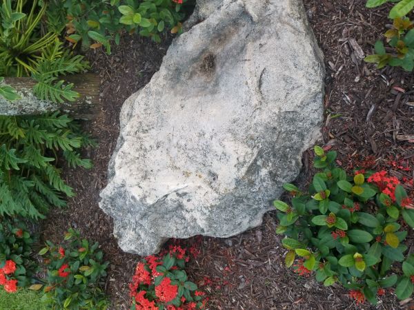 20180601_193708.jpg