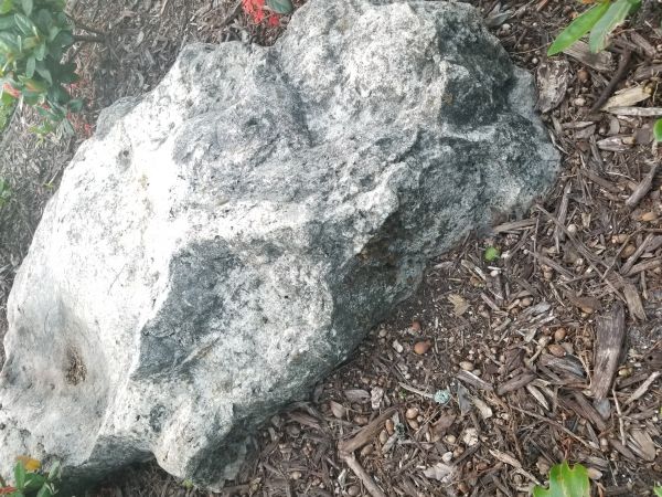 20180601_193719.jpg