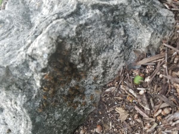 20180601_193721.jpg