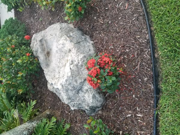 20180601_193736.jpg