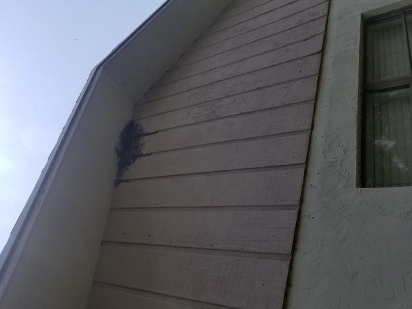 20180604_130437.jpg