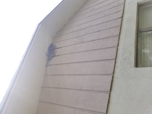 20180604_130441.jpg