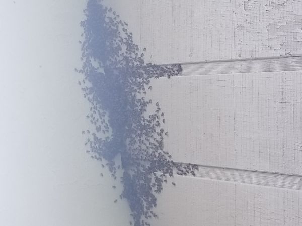 20180604_130450.jpg