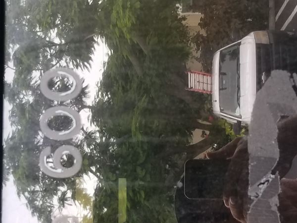 20180604_151923.jpg