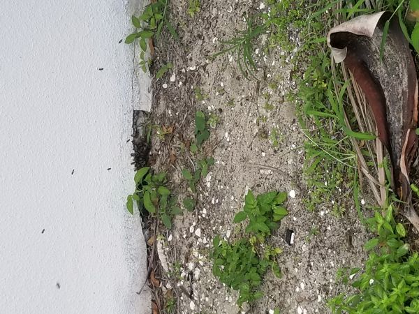 20180604_152248.jpg