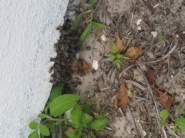20180604_152307.jpg