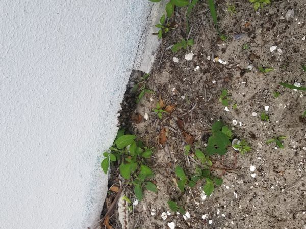 20180604_152310.jpg