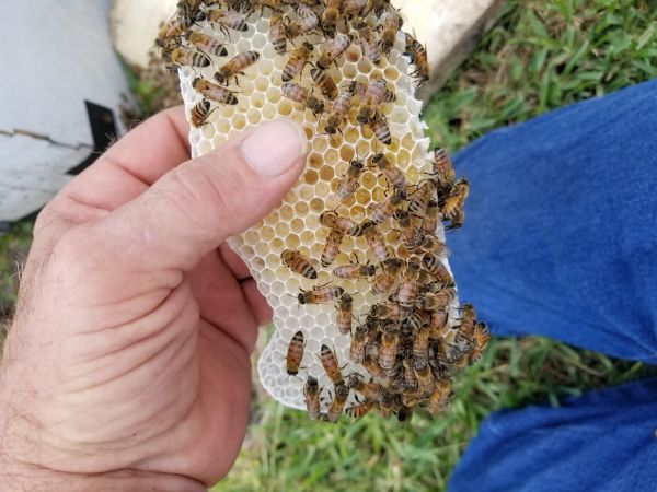 20180605_130845.jpg