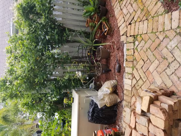 20180607_121832.jpg