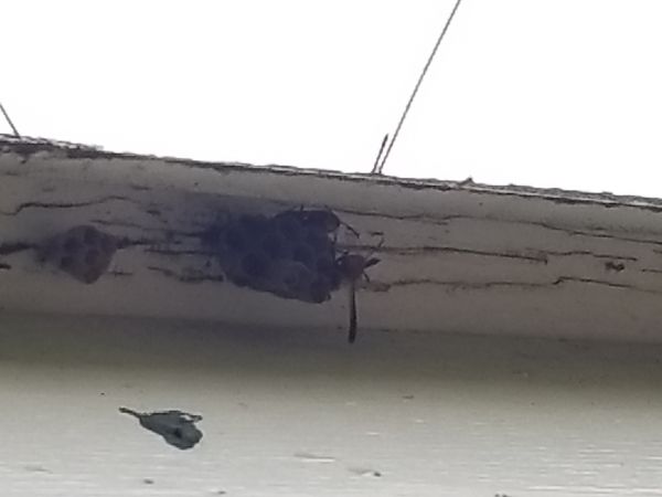 20180611_180510.jpg
