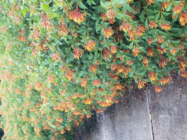 20180611_180601.jpg