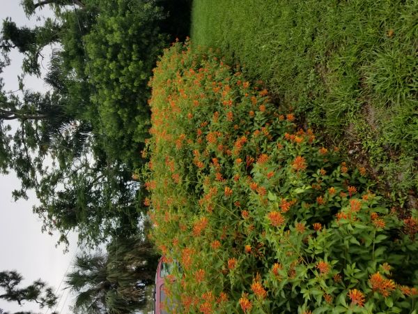20180611_180702.jpg