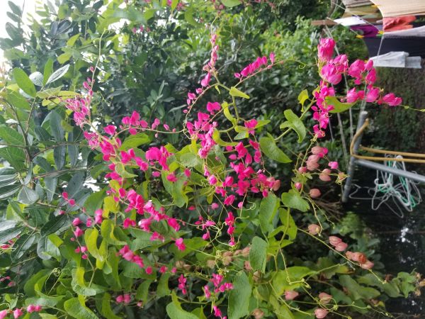 20180611_180728.jpg