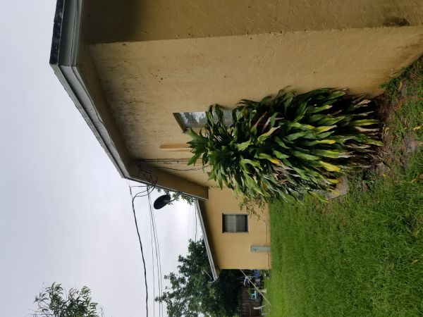 20180611_180903.jpg