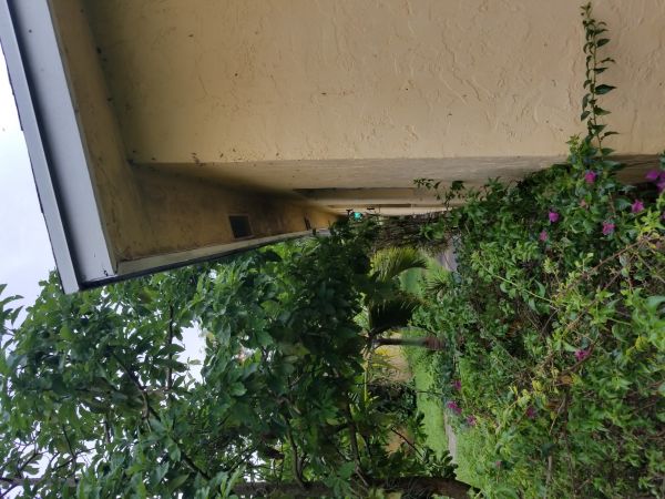 20180611_180922.jpg