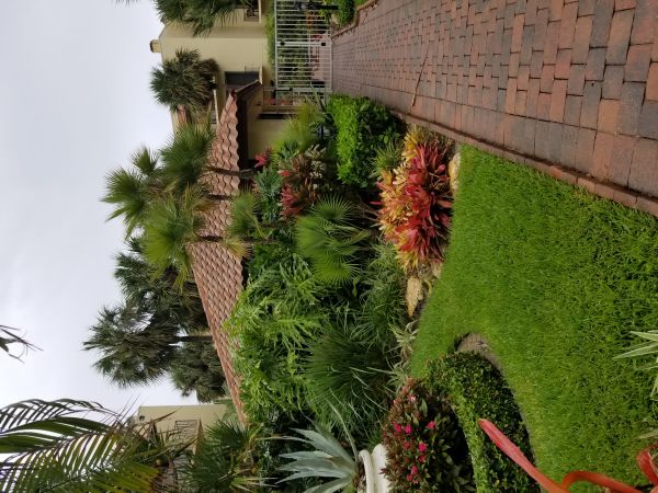 20180612_154638.jpg