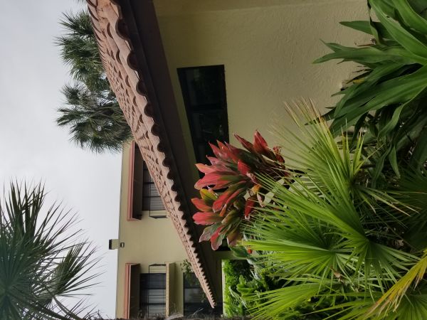 20180612_154658.jpg