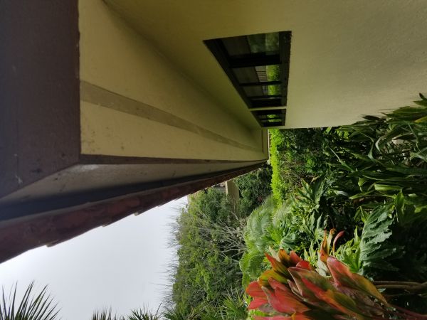 20180612_154706.jpg