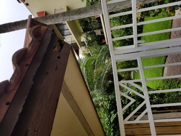 20180612_154802.jpg