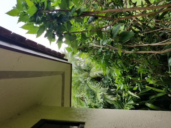 20180612_154945.jpg