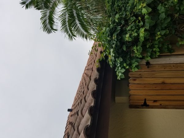 20180612_155101.jpg