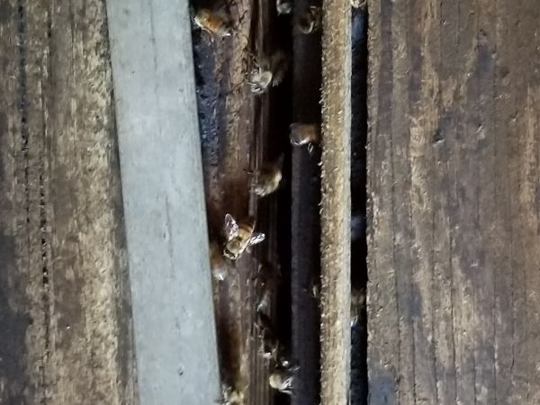 20180618_142053.jpg