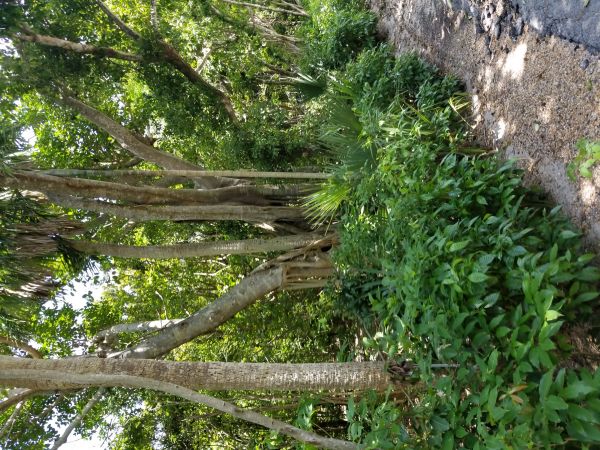 20180619_134059.jpg